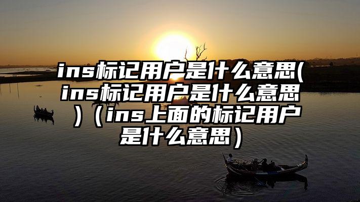 ins标记用户是什么意思(ins标记用户是什么意思 )（ins上面的标记用户是什么意思）