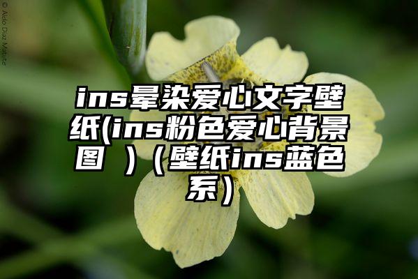 ins晕染爱心文字壁纸(ins粉色爱心背景图 )（壁纸ins蓝色系）