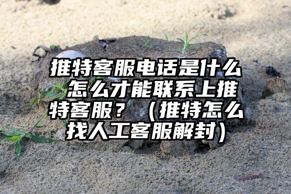 推特客服电话是什么 怎么才能联系上推特客服？（推特怎么找人工客服解封）