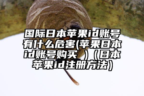 国际日本苹果id账号有什么危害(苹果日本id账号购买 )（日本苹果id注册方法）