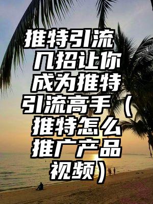 推特引流 几招让你成为推特引流高手（推特怎么推广产品视频）