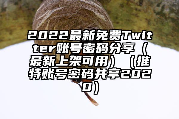 2022最新免费Twitter账号密码分享（最新上架可用）（推特账号密码共享2020）