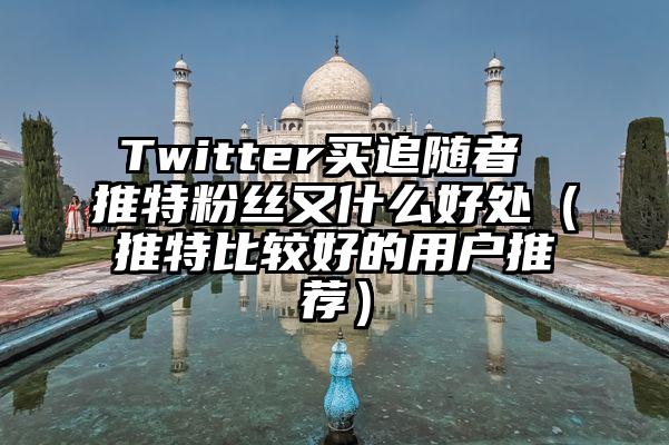 Twitter买追随者 推特粉丝又什么好处（推特比较好的用户推荐）