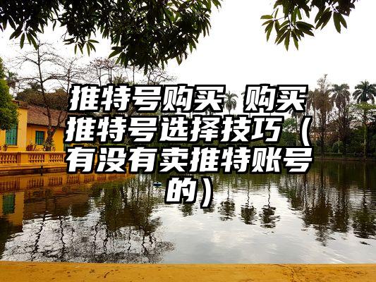 推特号购买 购买推特号选择技巧（有没有卖推特账号的）