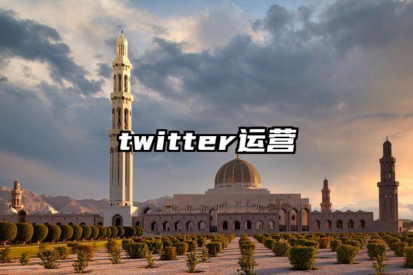 twitter运营