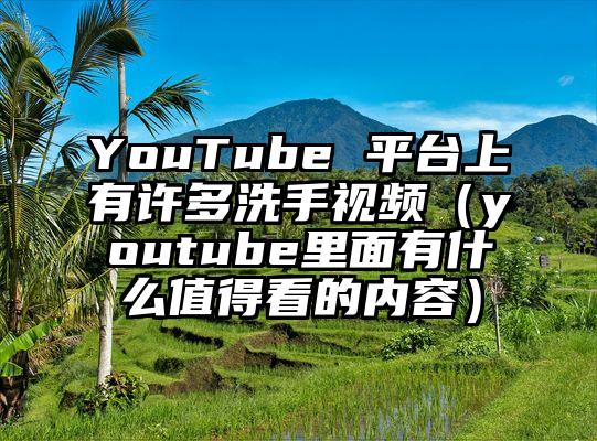 YouTube 平台上有许多洗手视频（youtube里面有什么值得看的内容）