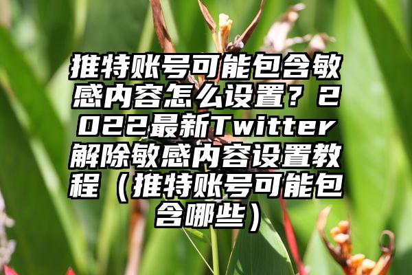 推特账号可能包含敏感内容怎么设置？2022最新Twitter解除敏感内容设置教程（推特账号可能包含哪些）