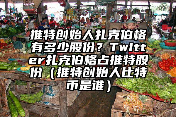 推特创始人扎克伯格有多少股份？Twitter扎克伯格占推特股份（推特创始人比特币是谁）