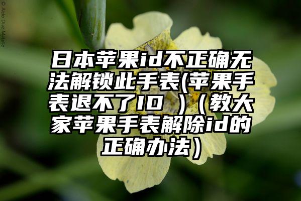 日本苹果id不正确无法解锁此手表(苹果手表退不了ID )（教大家苹果手表解除id的正确办法）