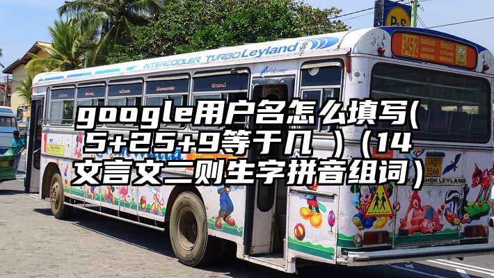 google用户名怎么填写(5+25+9等于几 )（14文言文二则生字拼音组词）