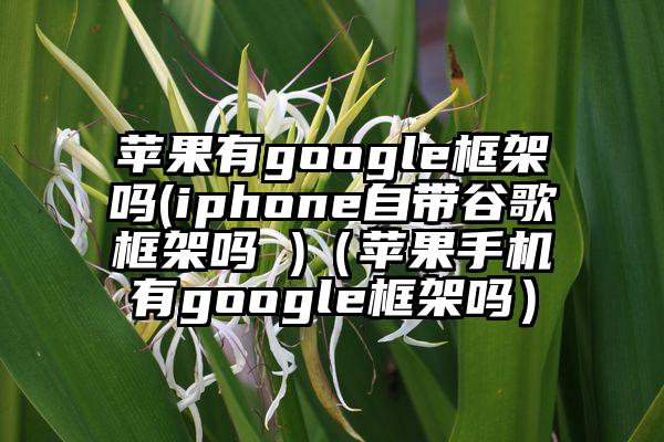 苹果有google框架吗(iphone自带谷歌框架吗 )（苹果手机有google框架吗）