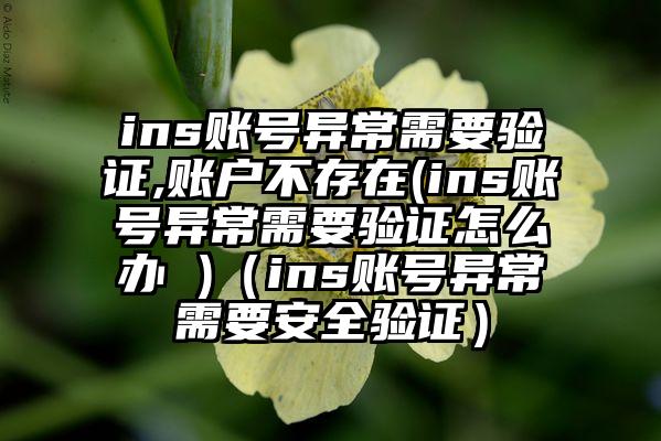 ins账号异常需要验证,账户不存在(ins账号异常需要验证怎么办 )（ins账号异常需要安全验证）