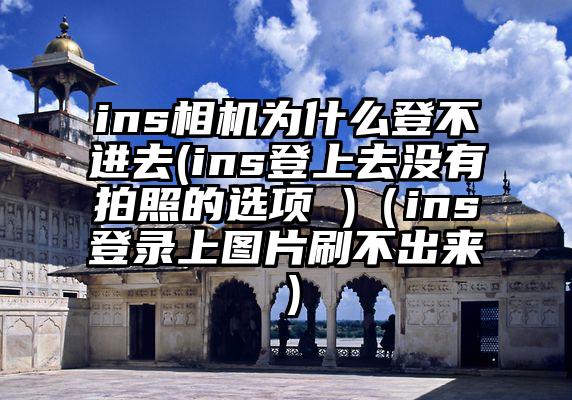 ins相机为什么登不进去(ins登上去没有拍照的选项 )（ins登录上图片刷不出来）