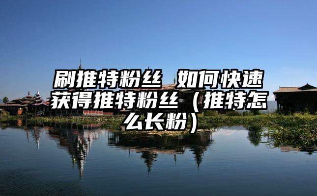 刷推特粉丝 如何快速获得推特粉丝（推特怎么长粉）