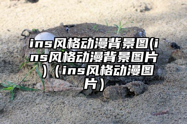 ins风格动漫背景图(ins风格动漫背景图片 )（ins风格动漫图片）
