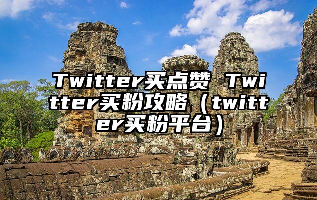 Twitter买点赞 Twitter买粉攻略（twitter买粉平台）