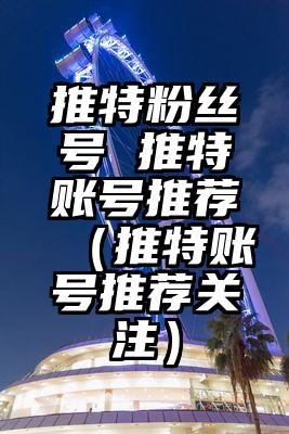 推特粉丝号 推特账号推荐（推特账号推荐关注）