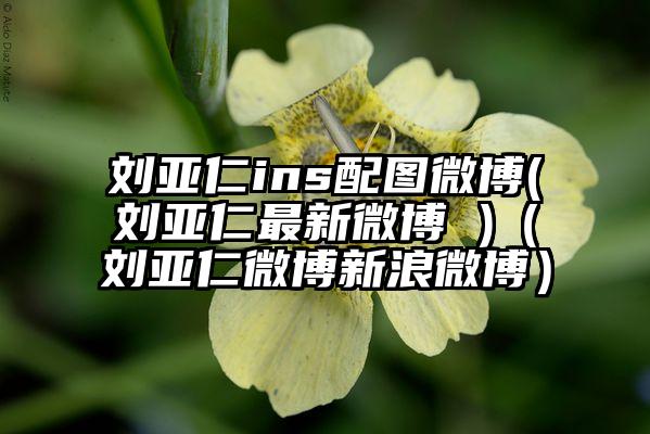 刘亚仁ins配图微博(刘亚仁最新微博 )（刘亚仁微博新浪微博）