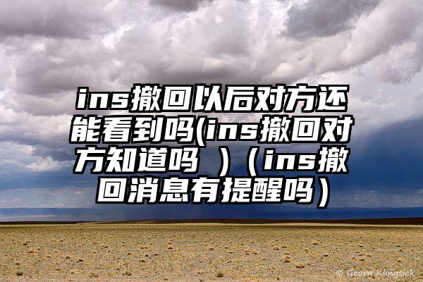 ins撤回以后对方还能看到吗(ins撤回对方知道吗 )（ins撤回消息有提醒吗）