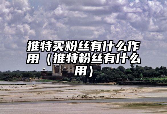 推特买粉丝有什么作用（推特粉丝有什么用）