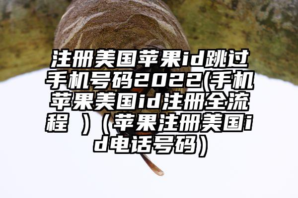 注册美国苹果id跳过手机号码2022(手机苹果美国id注册全流程 )（苹果注册美国id电话号码）