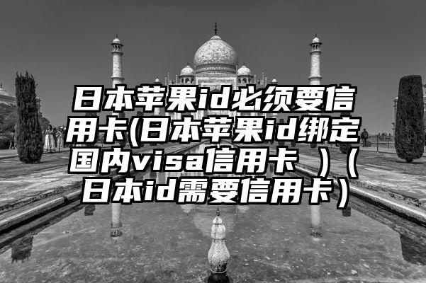 日本苹果id必须要信用卡(日本苹果id绑定国内visa信用卡 )（日本id需要信用卡）