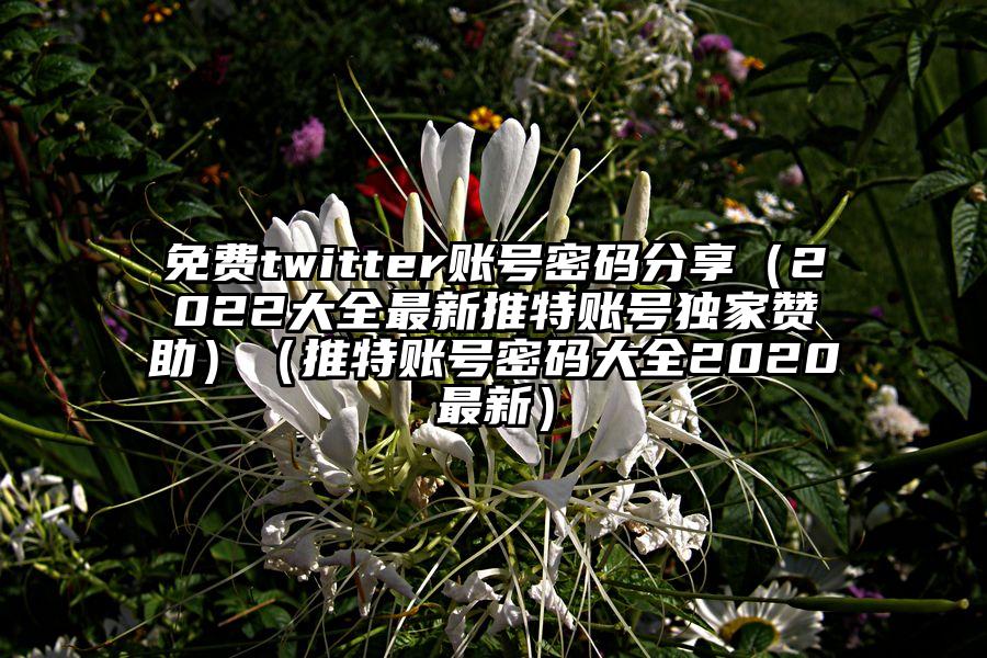 免费twitter账号密码分享（2022大全最新推特账号独家赞助）（推特账号密码大全2020最新）