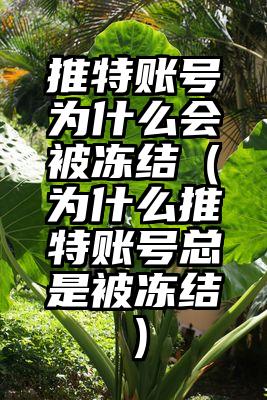 推特账号为什么会被冻结（为什么推特账号总是被冻结）