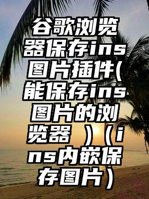 谷歌浏览器保存ins图片插件(能保存ins图片的浏览器 )（ins内嵌保存图片）