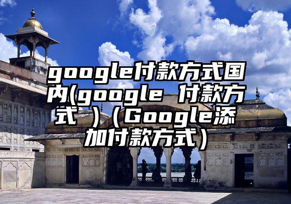 google付款方式国内(google 付款方式 )(Google添加付款方式)