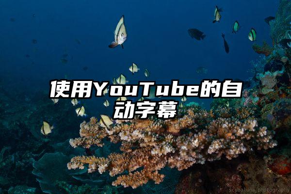 使用YouTube的自动字幕