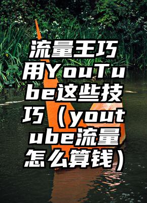 流量王巧用YouTube这些技巧（youtube流量怎么算钱）
