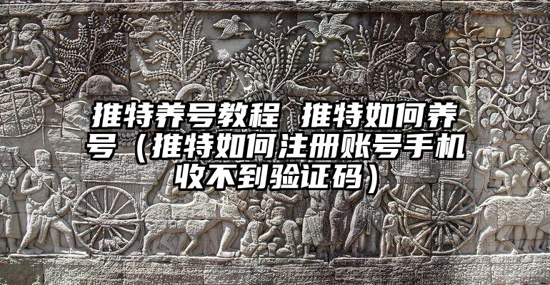 推特养号教程 推特如何养号(推特如何注册账号手机收不到验证码)
