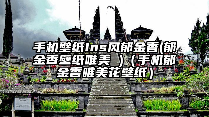 手机壁纸ins风郁金香(郁金香壁纸唯美 )（手机郁金香唯美花壁纸）