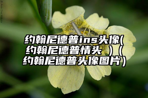约翰尼德普ins头像(约翰尼德普情头 )（约翰尼德普头像图片）