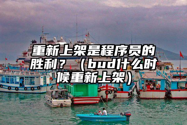 重新上架是程序员的胜利？（bud什么时候重新上架）