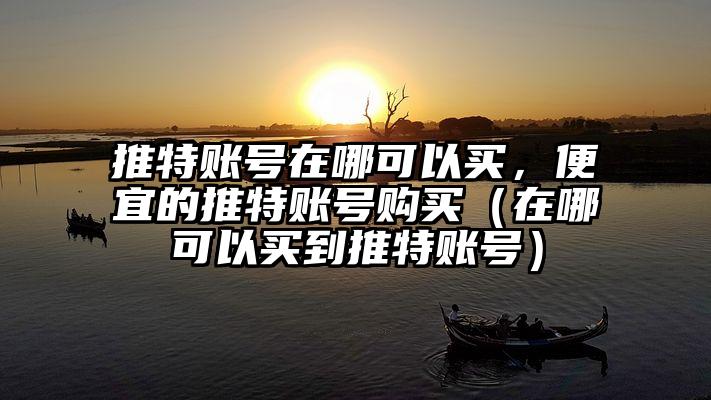 推特账号在哪可以买，便宜的推特账号购买（在哪可以买到推特账号）