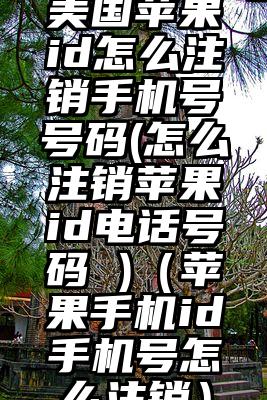 美国苹果id怎么注销手机号号码(怎么注销苹果id电话号码 )（苹果手机id手机号怎么注销）