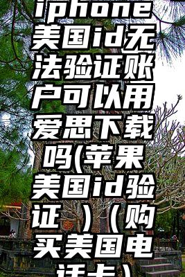 iphone美国id无法验证账户可以用爱思下载吗(苹果美国id验证 )（购买美国电话卡）