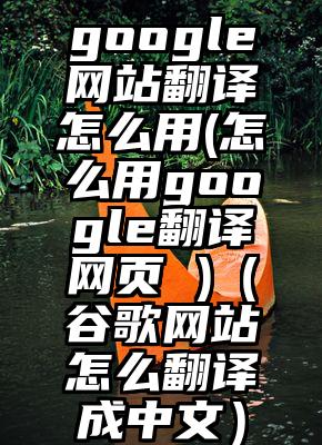 google网站翻译怎么用(怎么用google翻译网页 )（谷歌网站怎么翻译成中文）