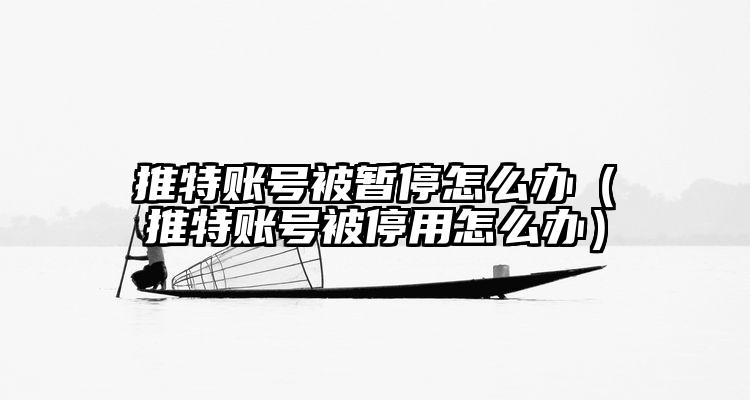 推特账号被暂停怎么办(推特账号被停用怎么办)