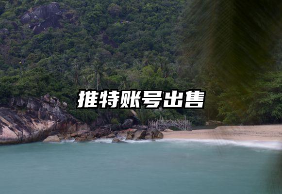 推特账号出售