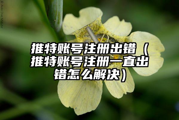 推特账号注册出错（推特账号注册一直出错怎么解决）