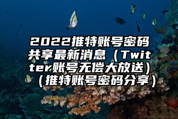 2022推特账号密码共享最新消息（Twitter账号无偿大放送）（推特账号密码分享）