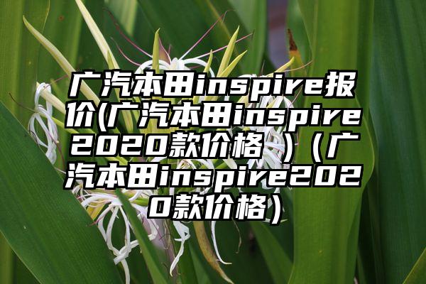 广汽本田inspire报价(广汽本田inspire2020款价格 )（广汽本田inspire2020款价格）