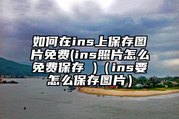 如何在ins上保存图片免费(ins照片怎么免费保存 )（ins要怎么保存图片）