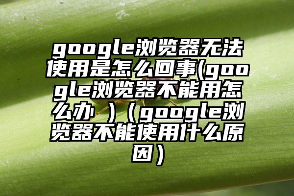 google浏览器无法使用是怎么回事(google浏览器不能用怎么办 )（google浏览器不能使用什么原因）