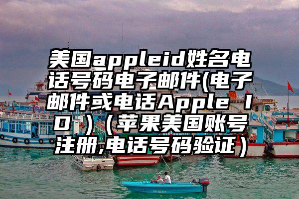 美国appleid姓名电话号码电子邮件(电子邮件或电话Apple ID )（苹果美国账号注册,电话号码验证）