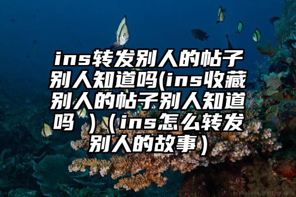 ins转发别人的帖子别人知道吗(ins收藏别人的帖子别人知道吗 )（ins怎么转发别人的故事）