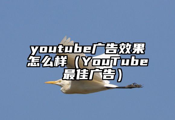 youtube广告效果怎么样（YouTube 最佳广告）